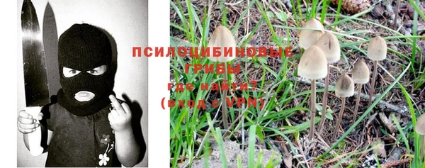 каннабис Алексин
