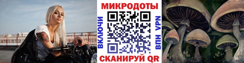 это формула  где найти наркотики  Трёхгорный  Псилоцибиновые грибы Cubensis 